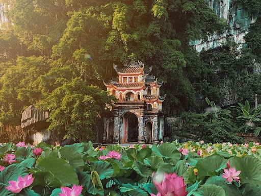 Six Things You Simply Do in Ninh Binh (No Debate Allowed)