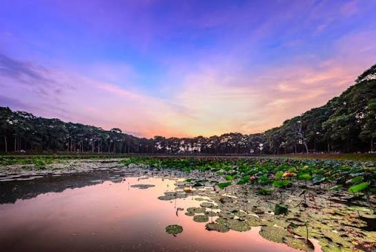 Ba Om Pond & Ang Pagoda: The Sacred Square Pond of Tra Vinh