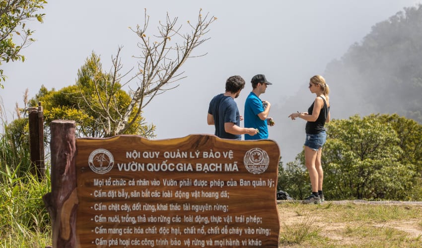 Bach Ma National Park: Cloud Forest Above the Coast