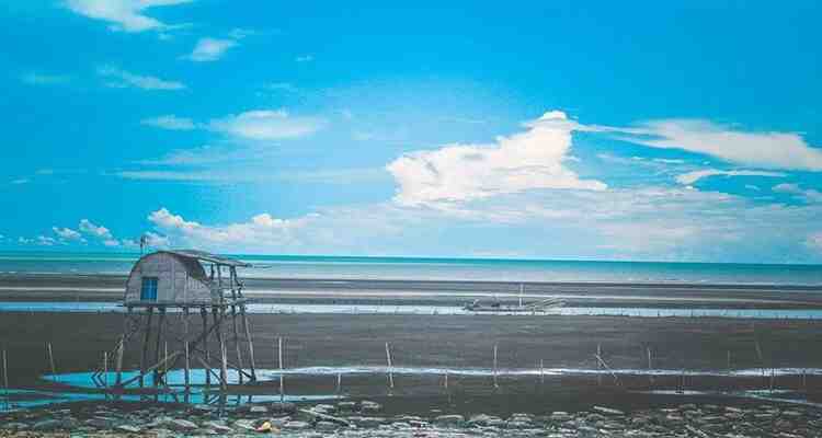 Con Vanh Beach (formerly Thai Binh, now Hung Yen): A Wild and Peaceful Coastal Escape