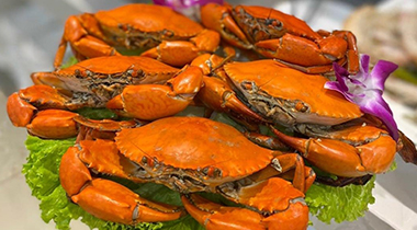 Ca Mau Crab: The Crab All Others Are Measured Against