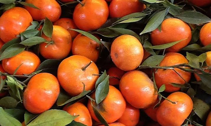 Cam Bu Orange of Huong Son