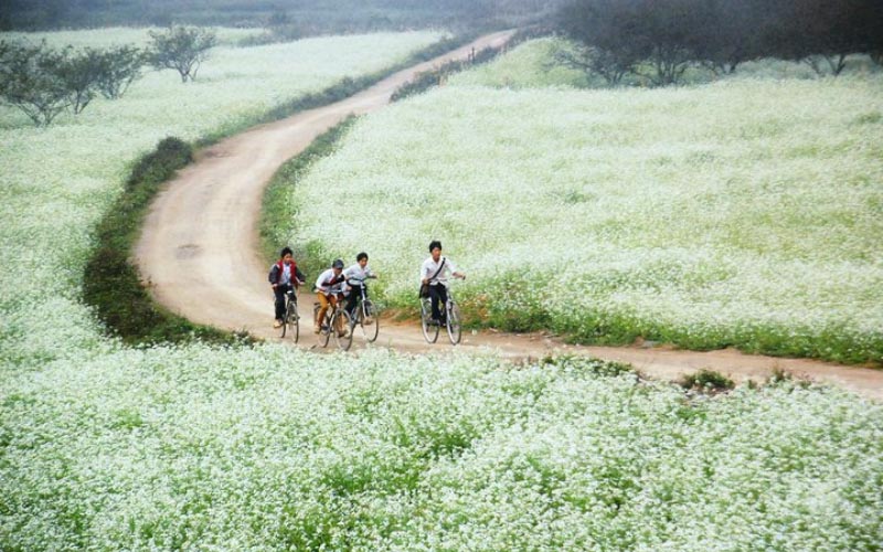 Six Hidden Gems, Two Road Trips: Chaining Vietnam's Quiet Places