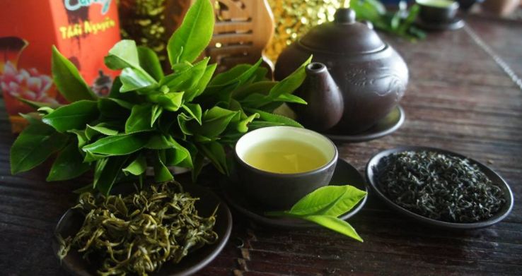 Tan Cuong Tea: Vietnam's Most Celebrated Green Tea