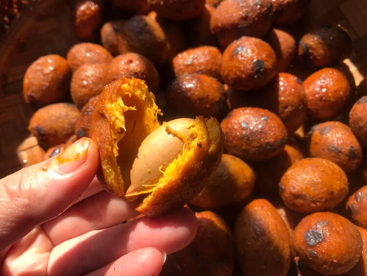 Co Om: The Simmered Palm Fruit of the Land of Palm Forests