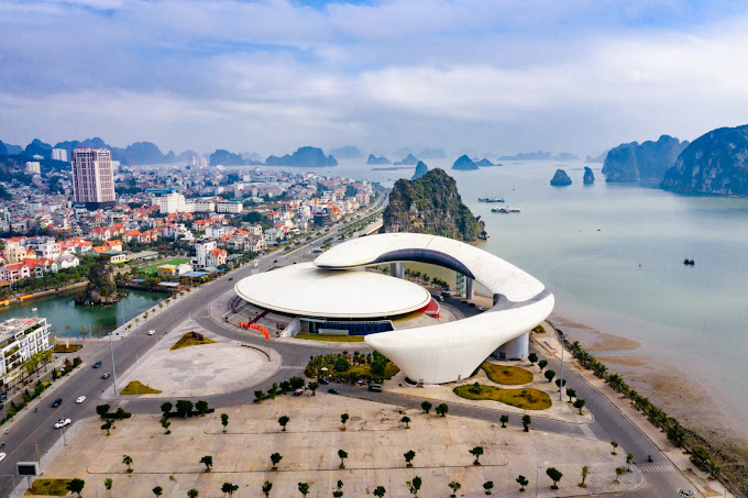 Dolphin Palace: Tuan Chau's Family Show by Ha Long Bay