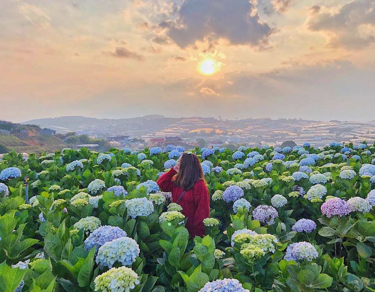 Da Lat, a wonderful land — a love letter to the city of eternal spring