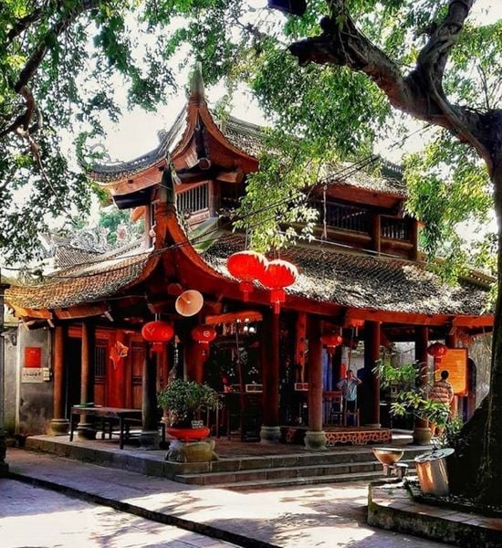 Mau Temple of Pho Hien: A Serene Shrine Beneath Ancient Trees