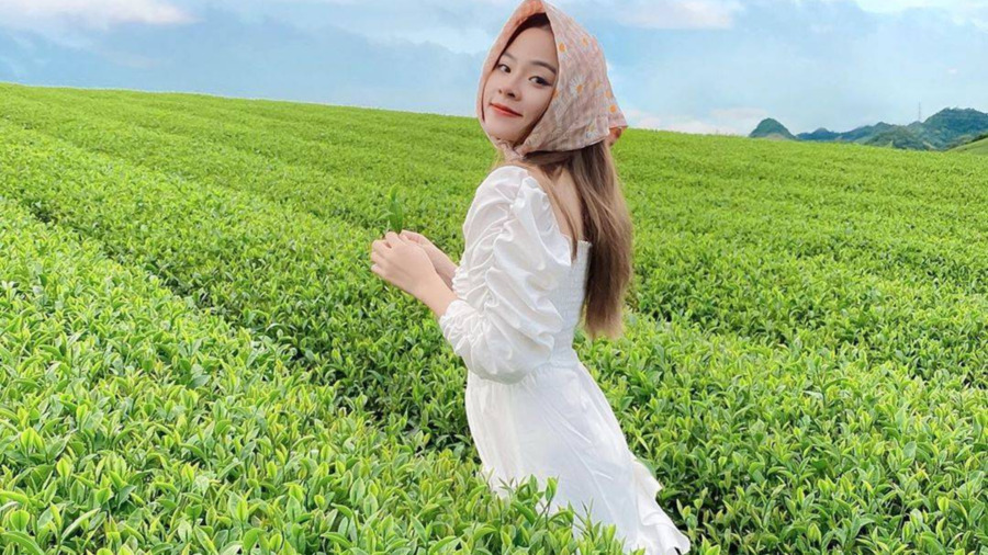 Moc Chau Shan Tuyet Tea: The Fine Highland Tea of the Plateau