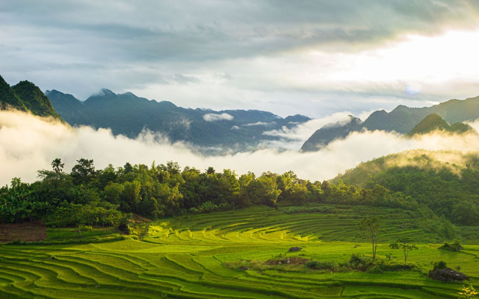 Homestay bản làng