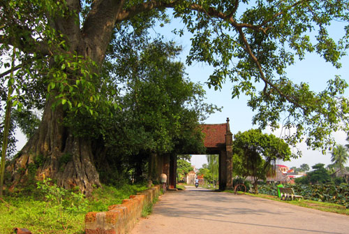 Duong Lam Ancient Village: A Living Museum of the Old Countryside
