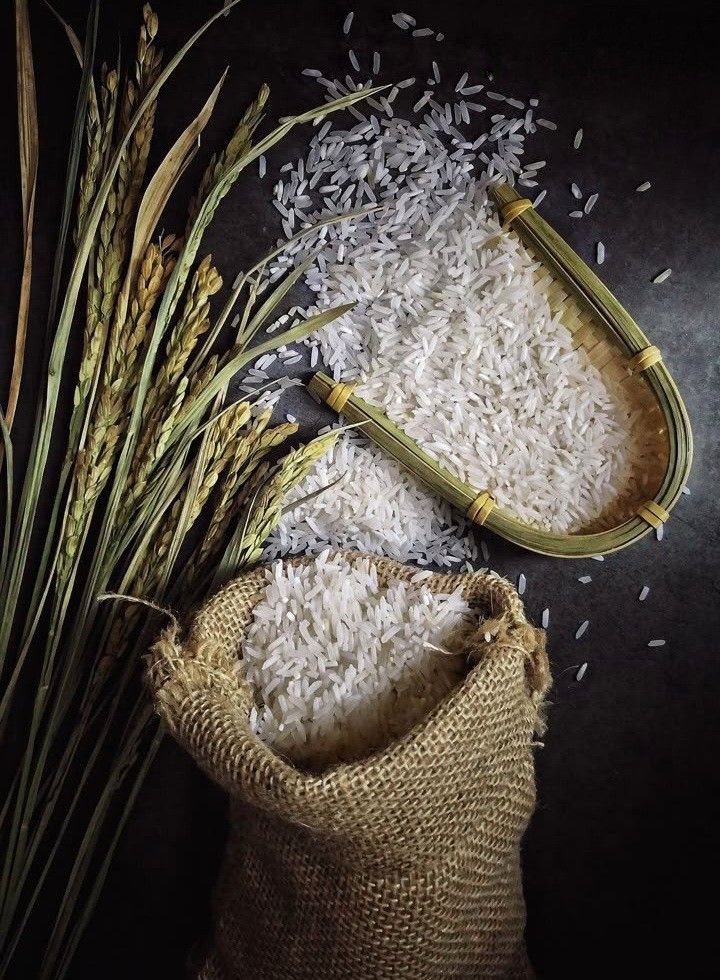 Nang Thom Cho Dao: The Tribute Rice of One Commune