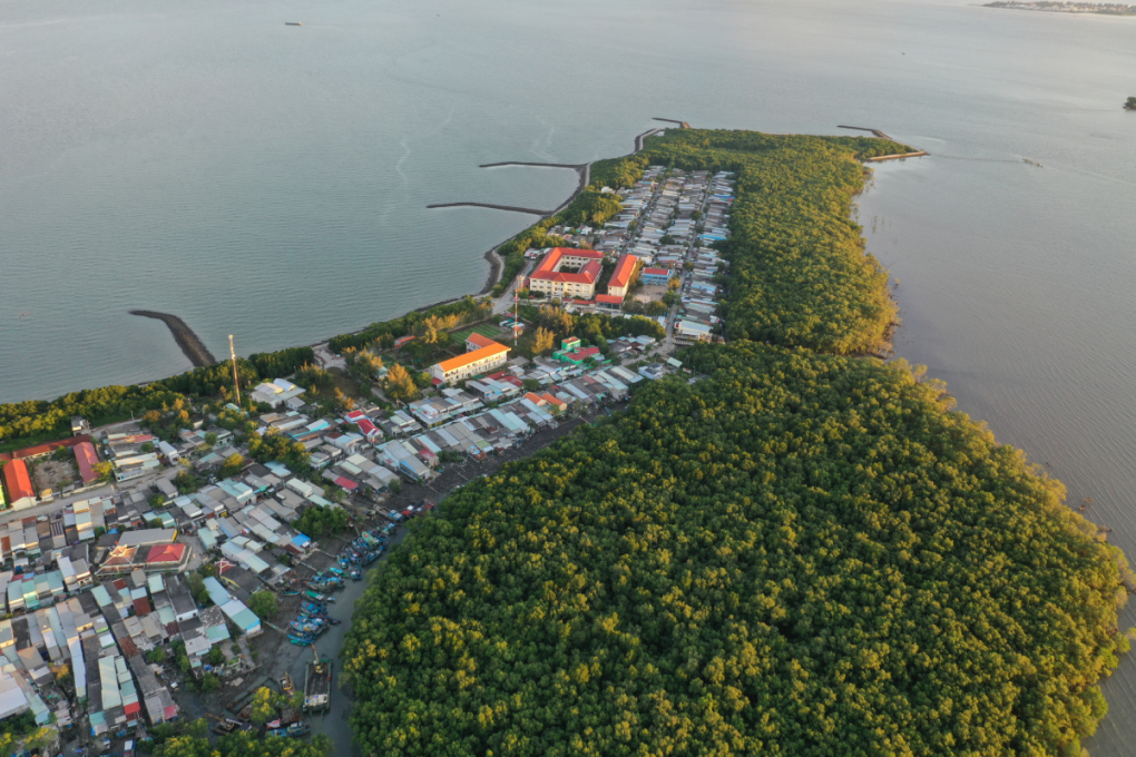 Can Gio: Saigon's Own Mangrove Sea