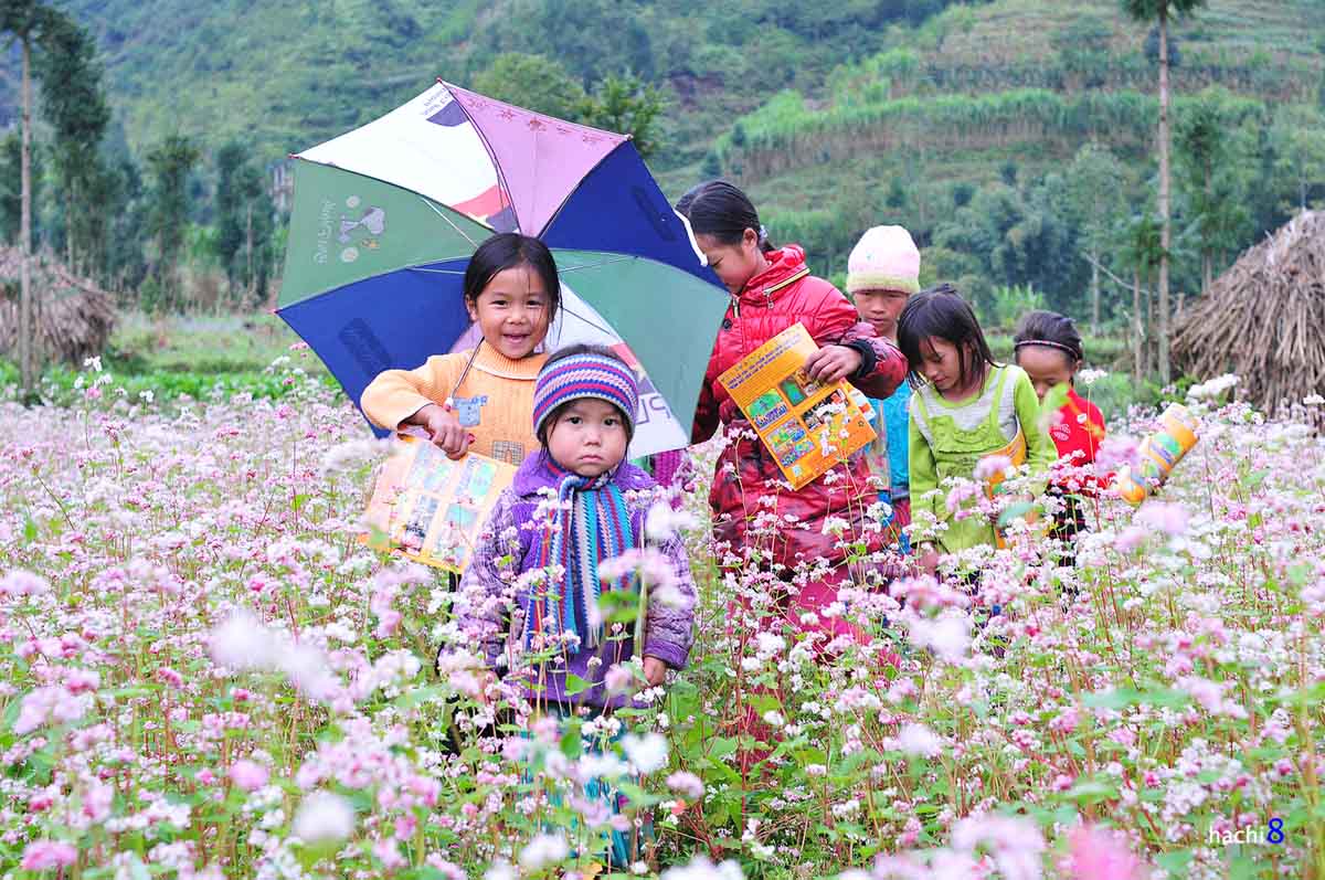 Bac Ha — the white highland where plum blossoms open the year