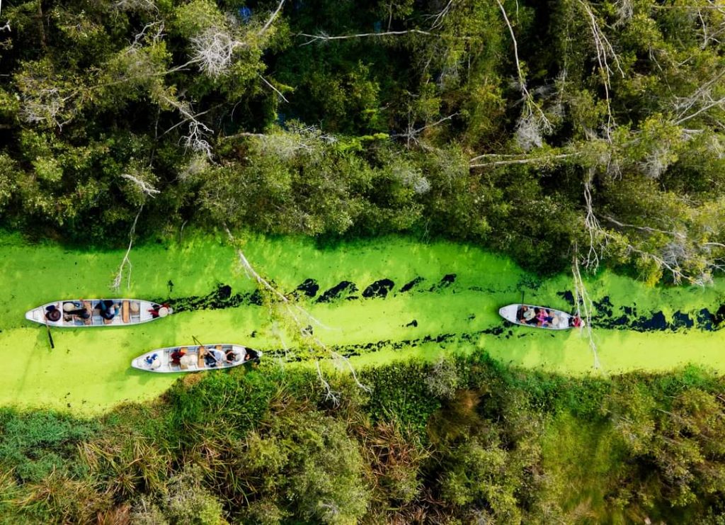 Tan Lap Floating Village: A Walk Through the Drowned Forest