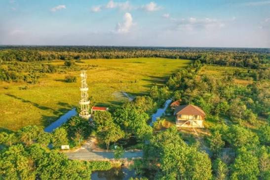 Lo Go - Xa Mat National Park: Where Forest Meets Wetland