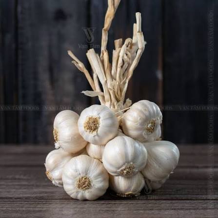 Ly Son Garlic: The Island Crop of Quang Ngai