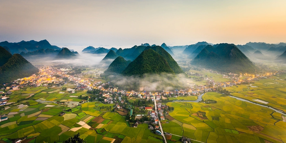 Mau Son Peach: The Sweet Taste of the Cloud-Wreathed Heights