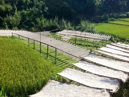Bac Kan Arrowroot Vermicelli: The Prized Clear Noodle of the Mountains