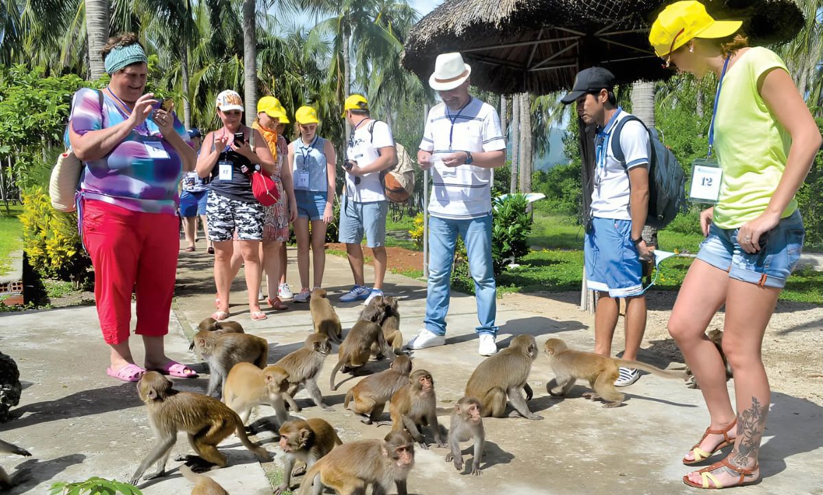 Monkey Island: Cat Ba's Cheeky Beach Escape
