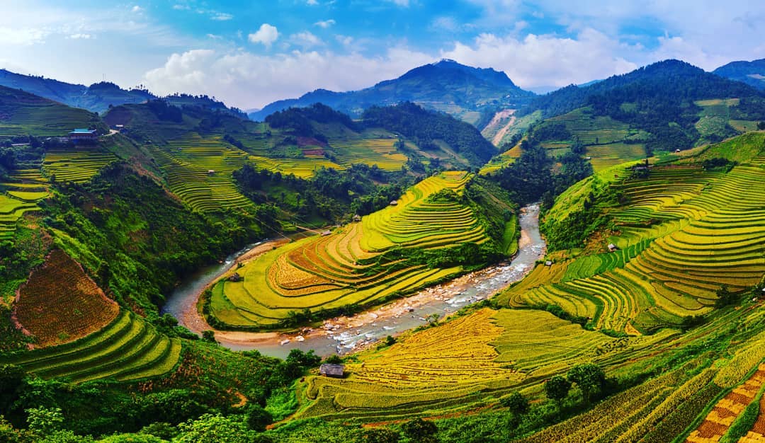Cung đường lên vùng cao mùa lúa chín, và đoàn xe của một chuyến đi. Phần lớn thờ