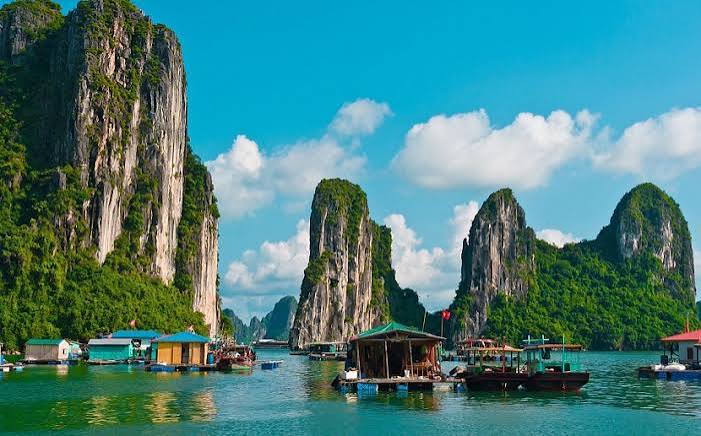 Ngan: The Prized Mud Clam of Ha Long Bay