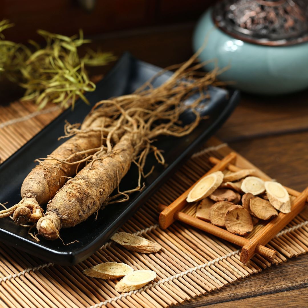 Ngoc Linh Ginseng: The Rarest Root in Vietnam