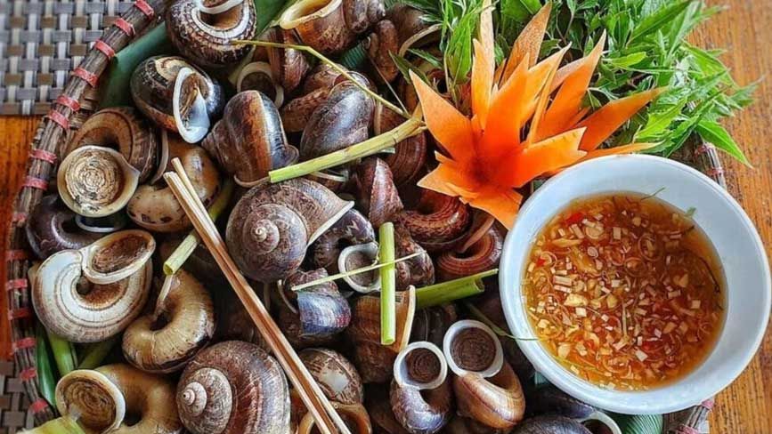 Oc Nui Ba Den: The Mountain Snail With an Address
