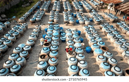 Phan Thiet Fish Sauce