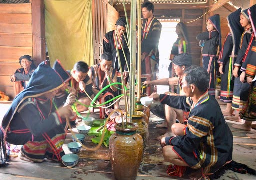 Mau Son Wine: The Legendary Spirit of the Dao People