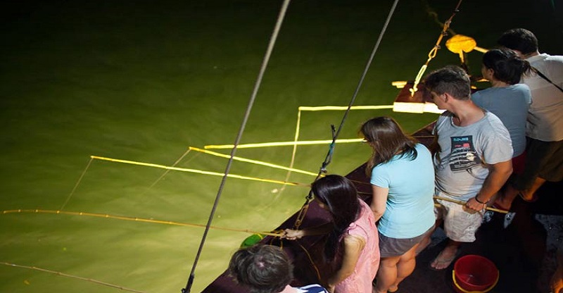 Night Squid Fishing: Lan Ha Bay After Dark