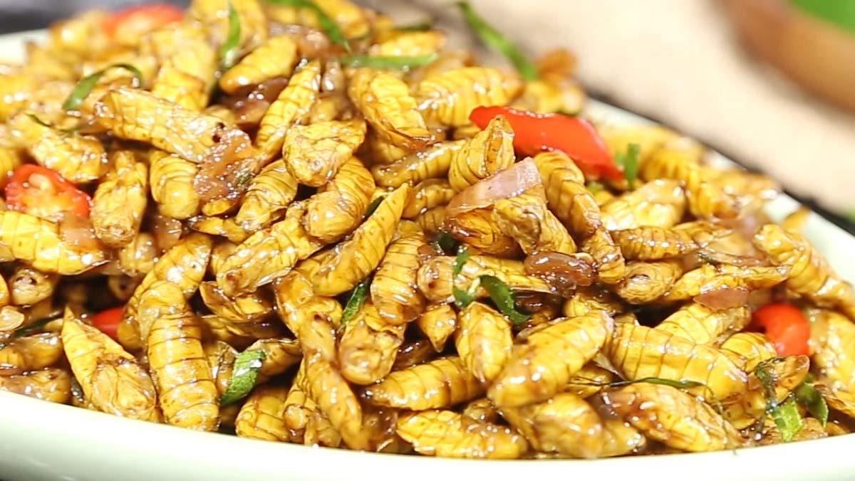 Bee Pupae with Bamboo Shoots: Yen Bai's Forest Protein, Fried Golden