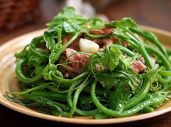 Tam Dao Chayote: The Fresh Green Vegetable of the Cool Mountains