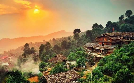 Suoi Giang: A Cloud-Wrapped Village of Ancient Tea Trees