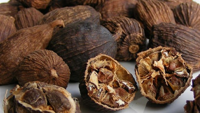 Sa Pa Black Cardamom: A Fragrant Treasure of the Forest