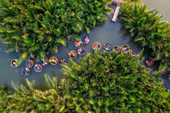 The Bay Mau Nipa Palm Forest