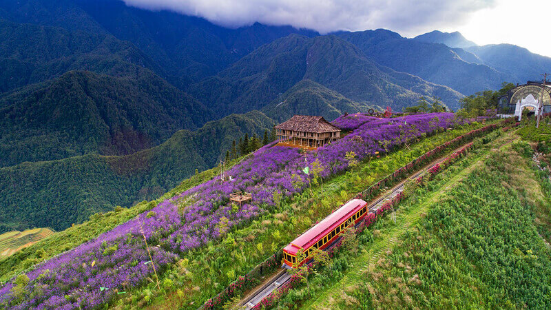 Muong Hoa Valley: Sapa's Grand Gallery of Rice Terraces