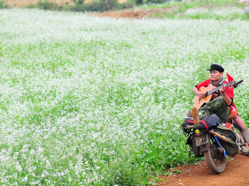 Summer in Moc Chau: The North's Coolest Escape Hatch