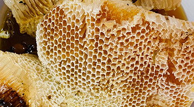 U Minh Forest Honey: Honey From Rented Rafters