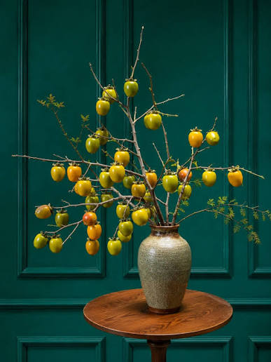 Vanh Khuyen Persimmon: The Seedless Autumn Jewel of Lang Son