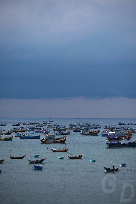 Tien Hai Coastal Wetlands (formerly Thai Binh, now Hung Yen): Nature Reserve and Wind Farms