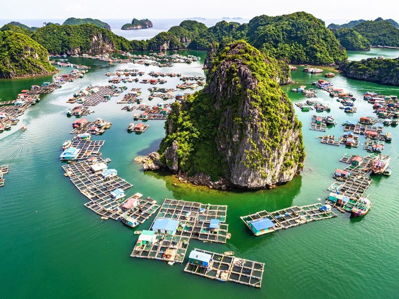 Viet Hai Village: Lan Ha's Hidden Valley of Calm
