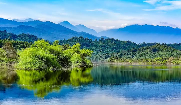 Vu Quang National Park: Where the Saola Was Found