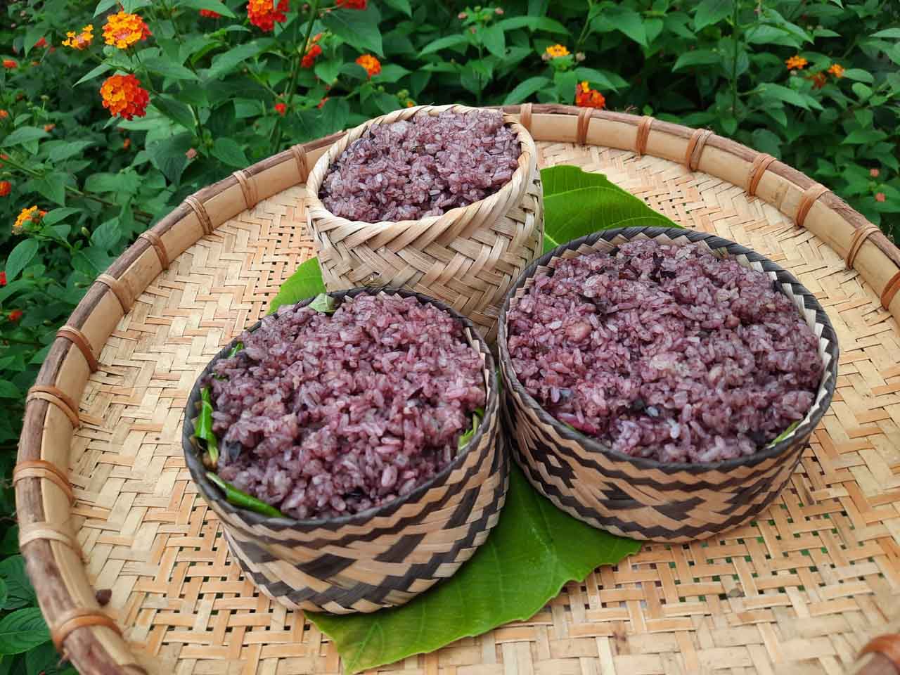 The Pilgrim's Provision: Tram Sticky Rice for the Road to the Source