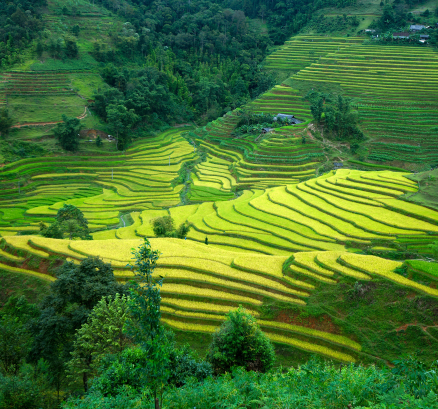 Lào Cai - Yên Bái - Hà Giang